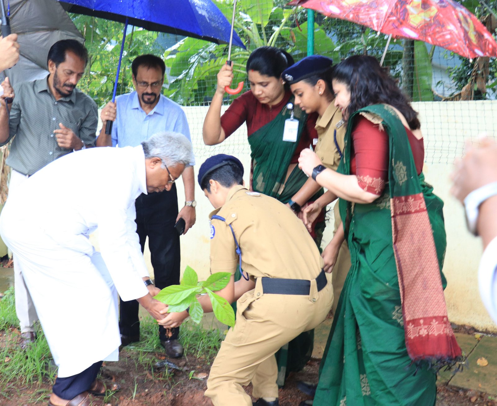 Environment Day